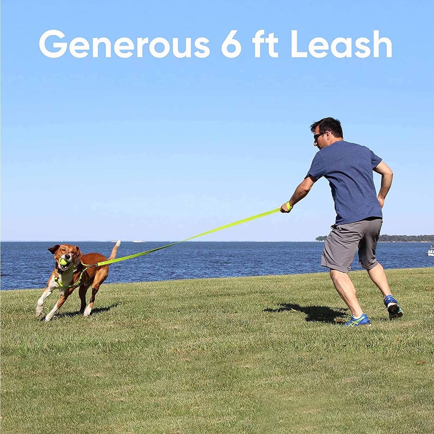 Solid 6 Ft Green Dog Leash M/L Custom Name and Phone Embroidery Strong Nylon Leash for Medium and Large Breeds